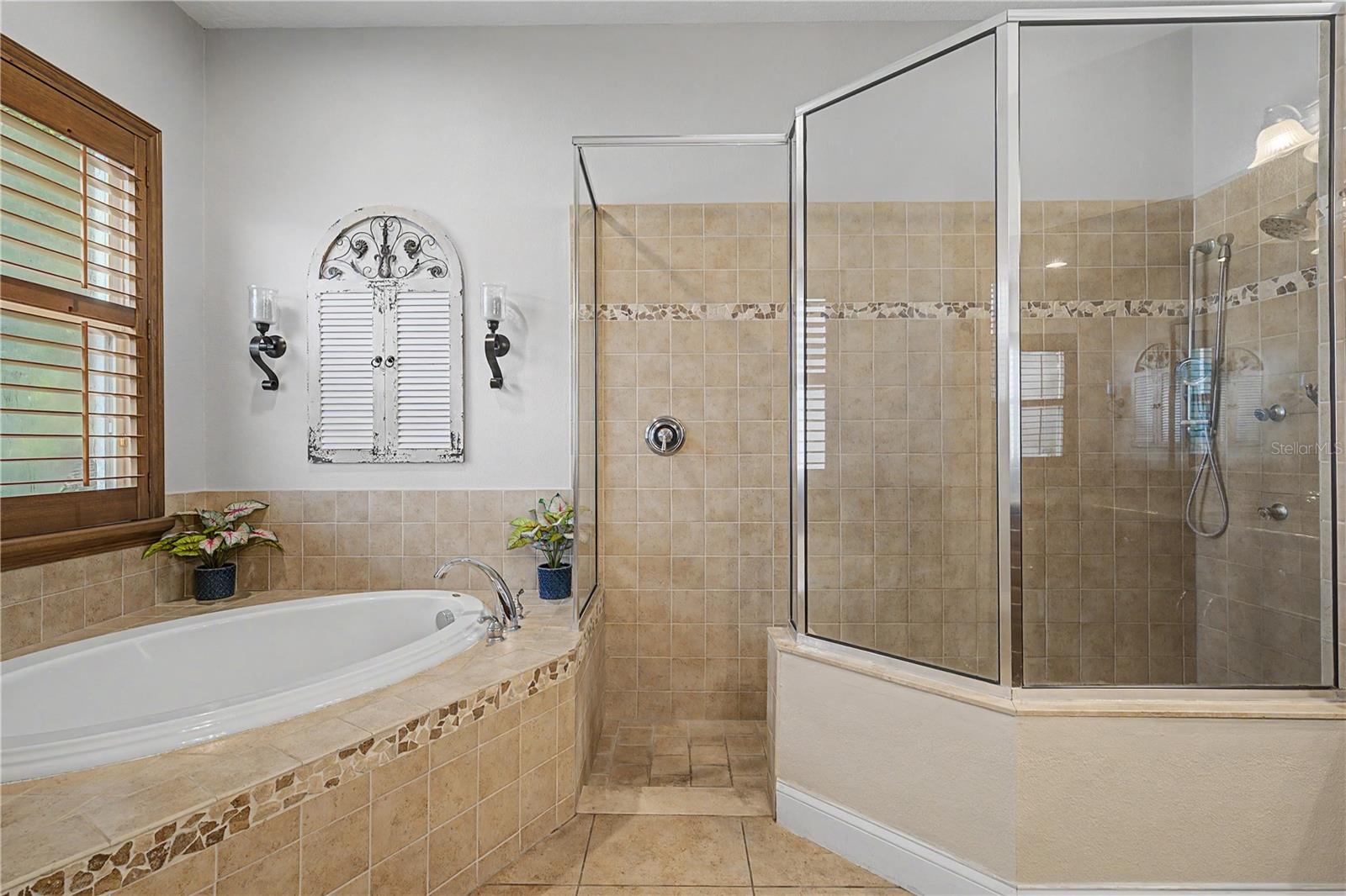 Tub and shower in bath ensuite