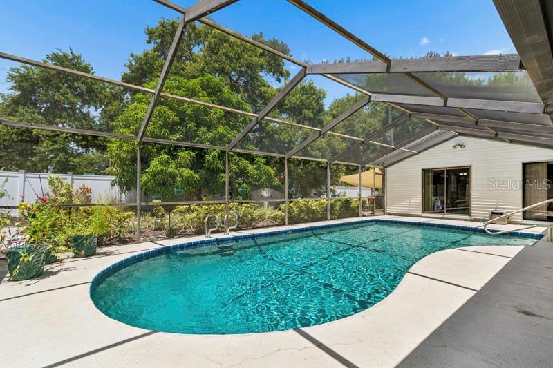 Sparkling pool