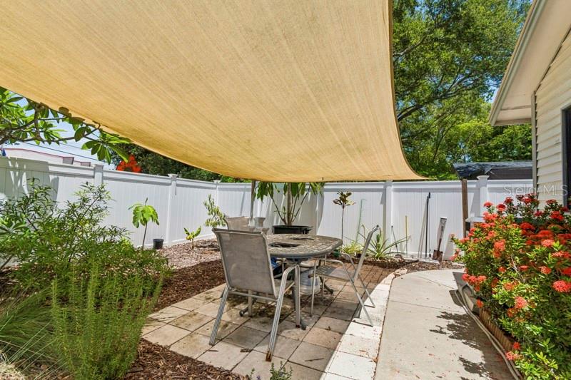 Back yard/garden