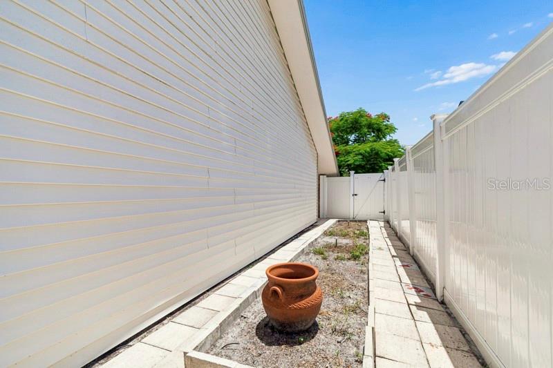 Side yard/garden