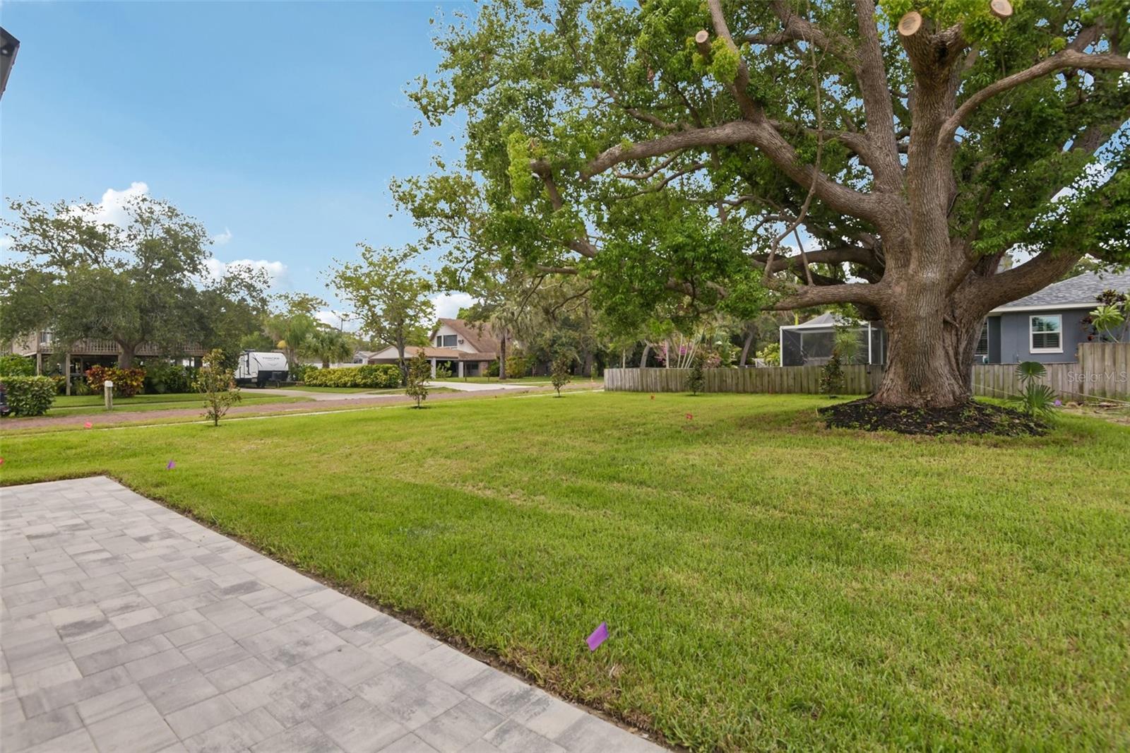 Rear Exterior & Backyard