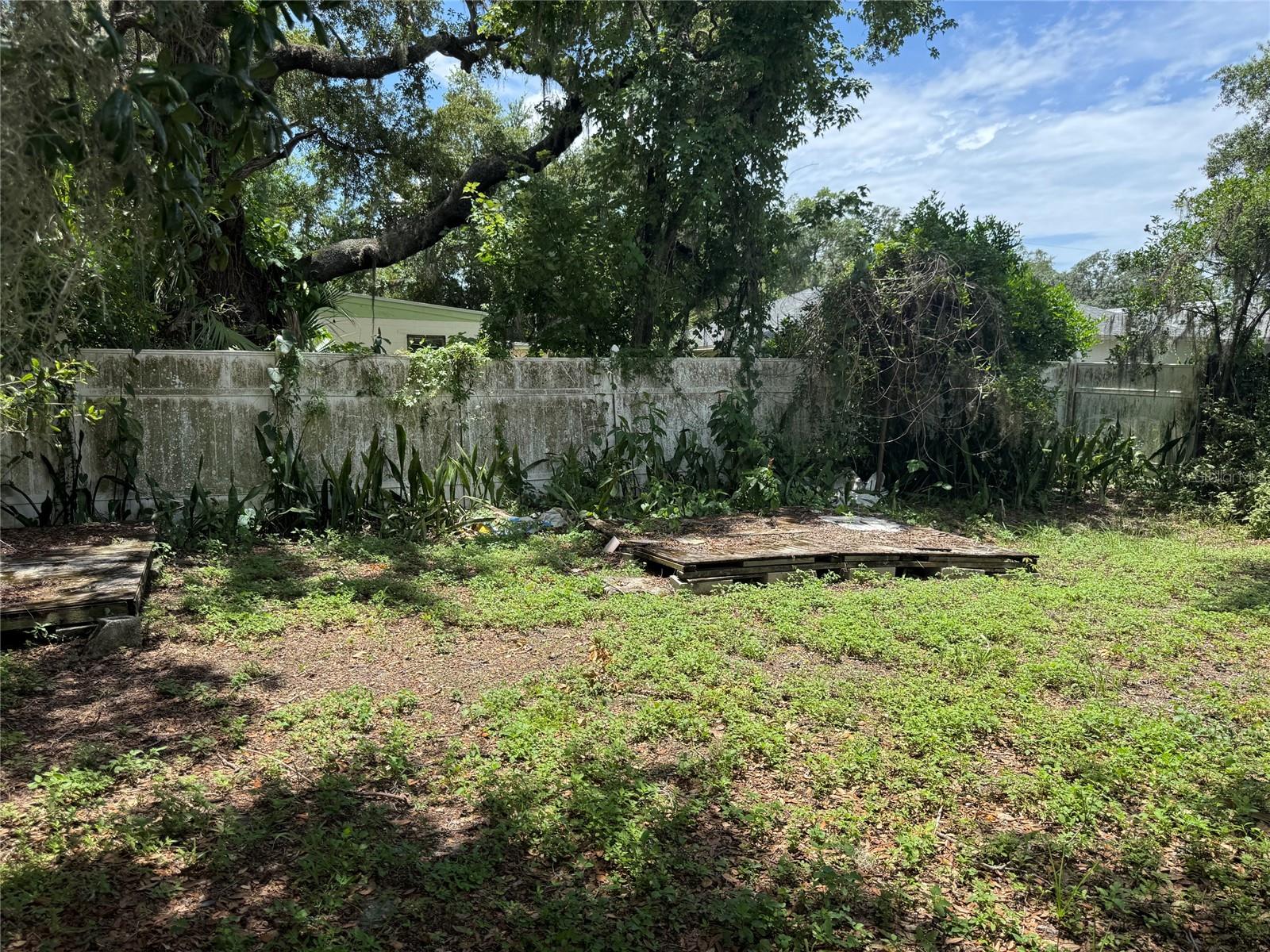 Plenty of room in the backyard