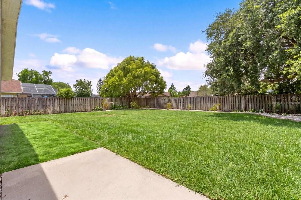 Grass Virtually Staged