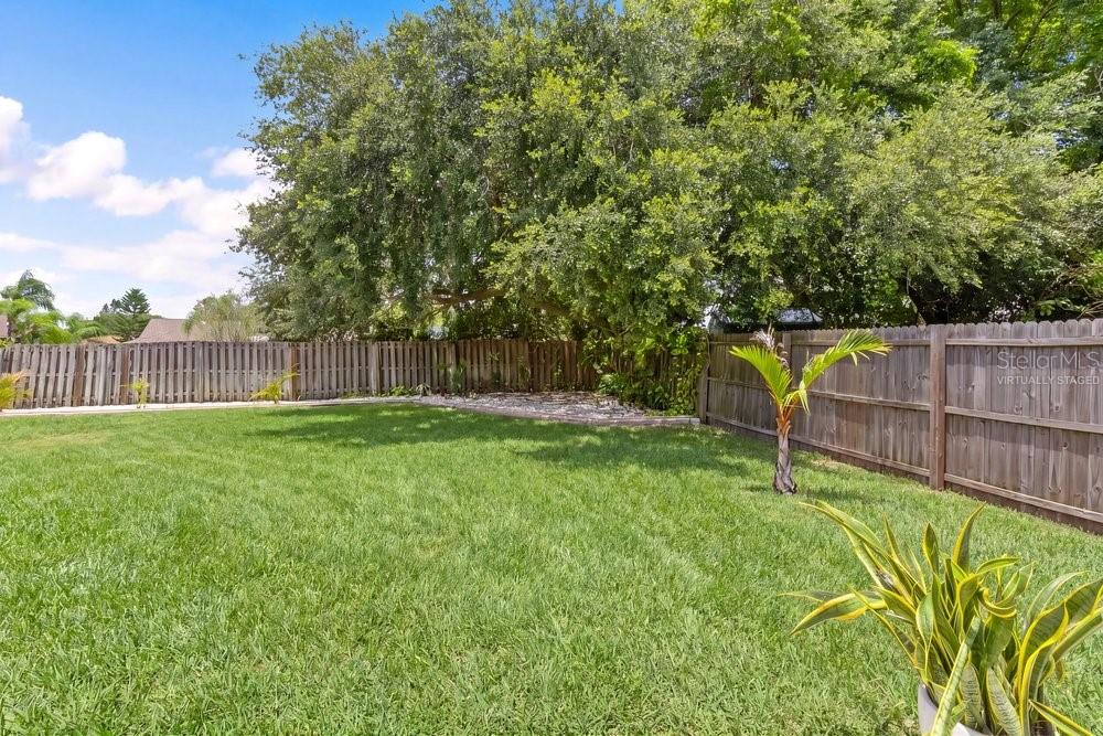 Grass Virtually Staged