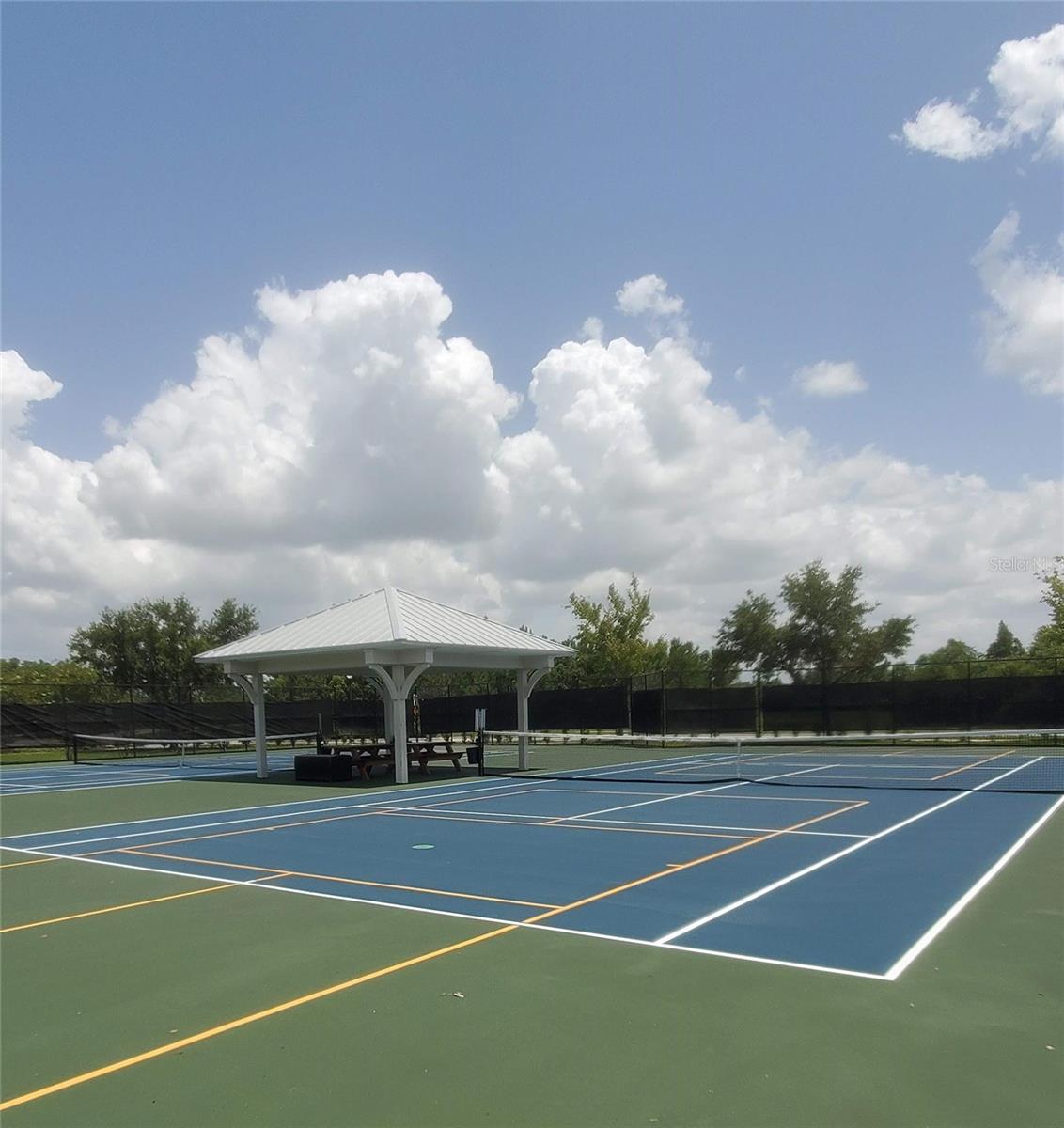 Long Lake community Pickleball courts