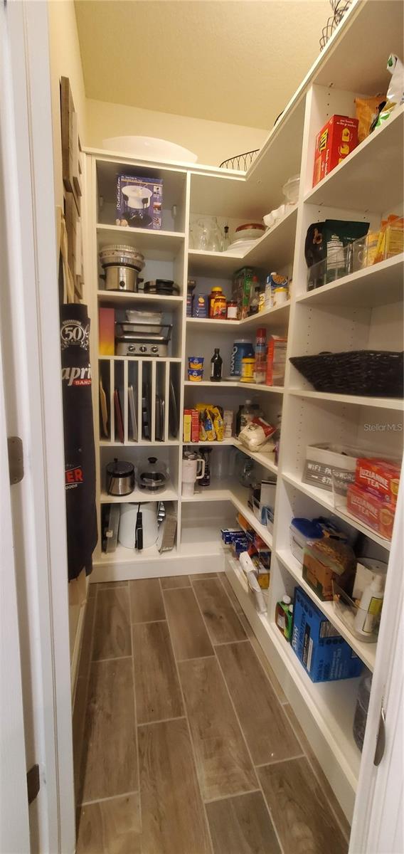 Professionally installed Pantry Organizer!