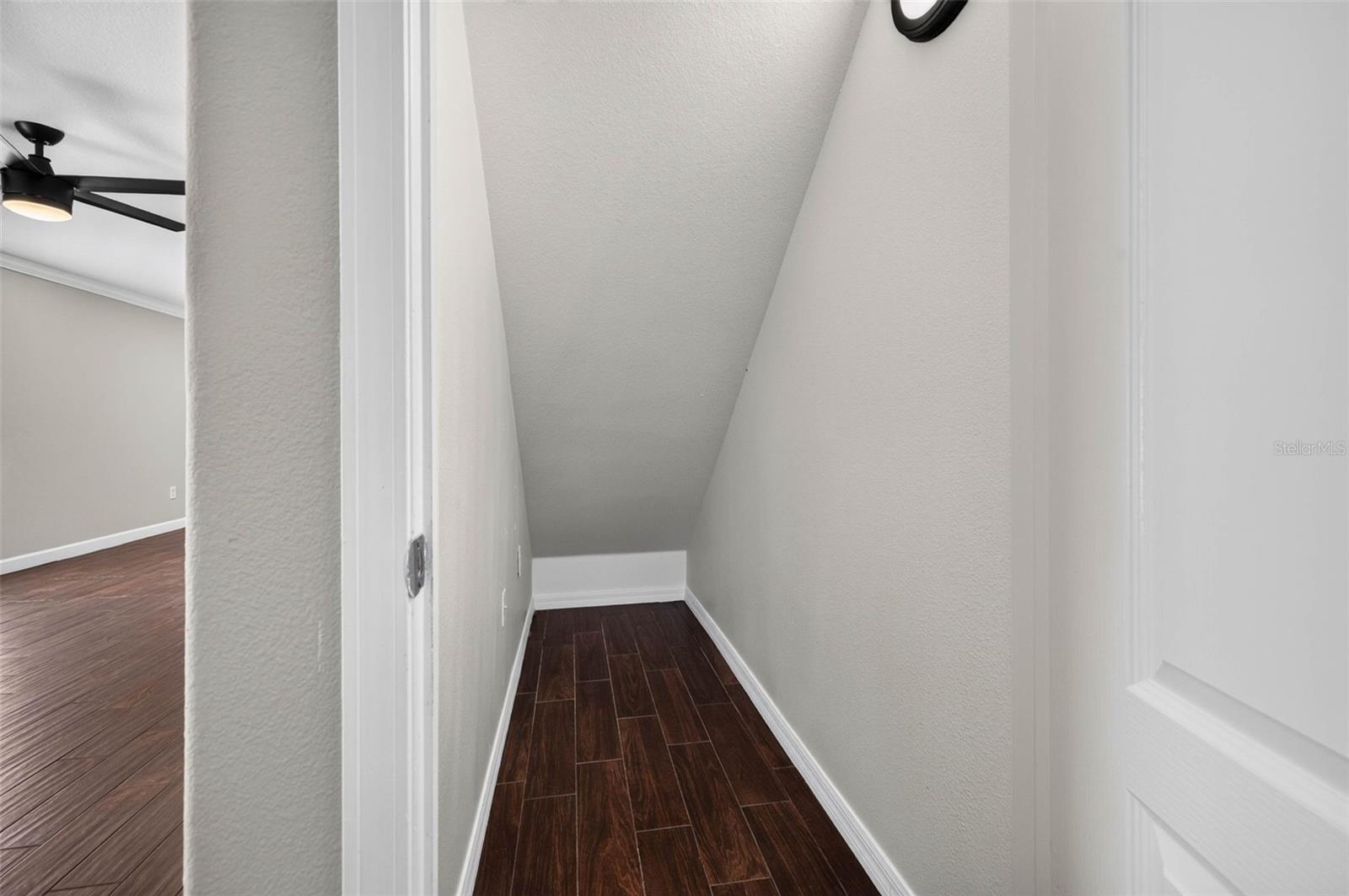 Downstairs Storage