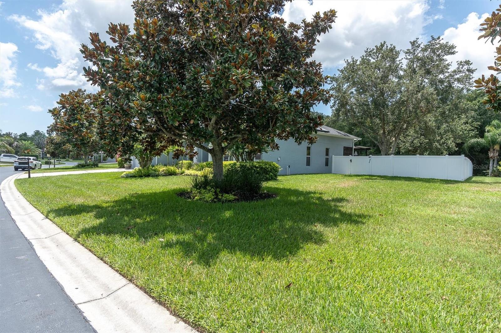 spacious yard