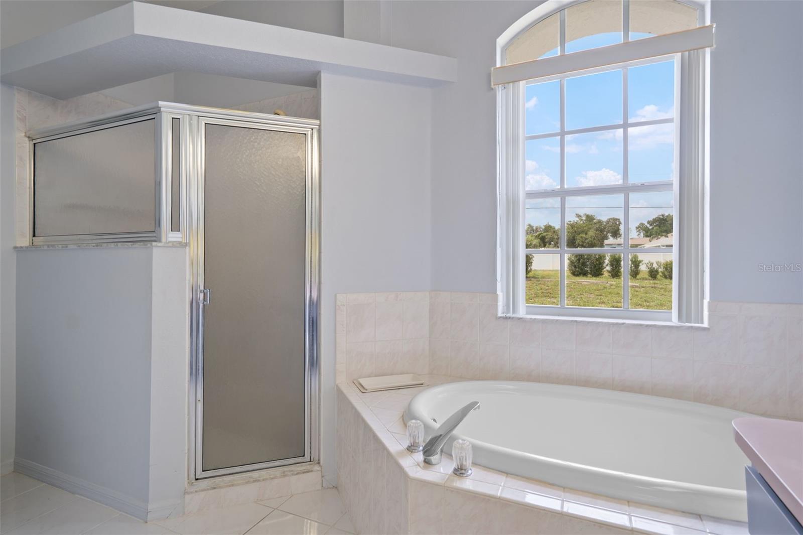 Soaking tub and separate shower