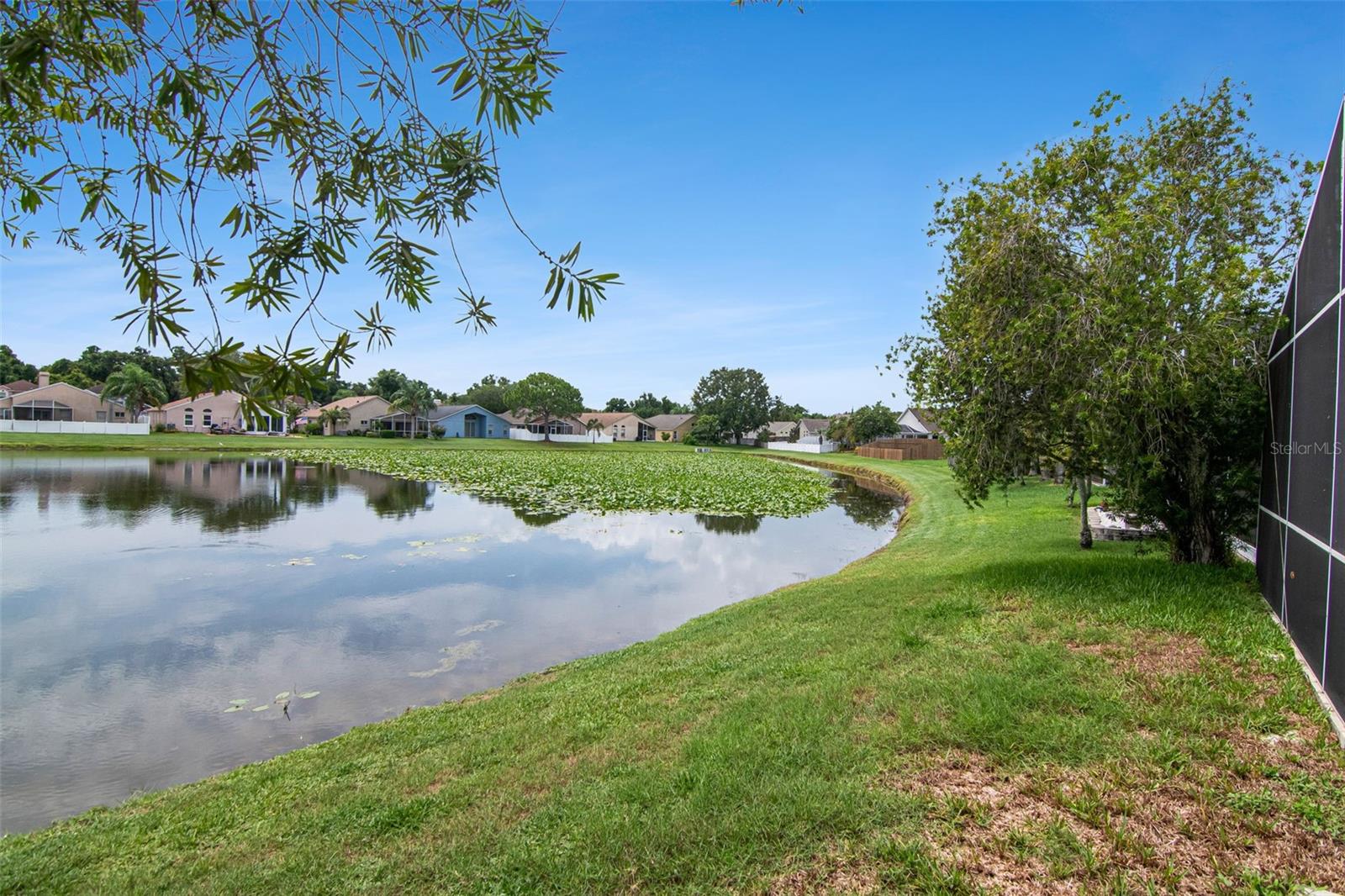 Real Lot & Pool Deck View to Lake