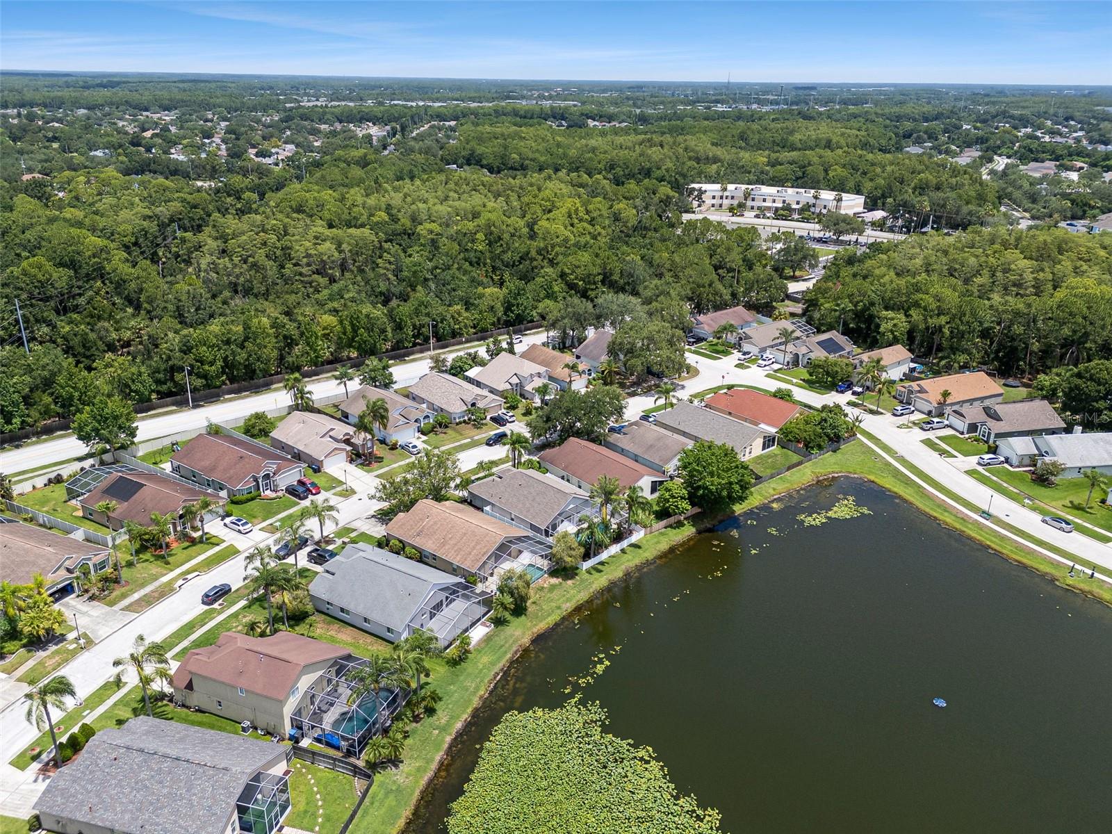 Charleston Corner Neighborhood Aerial View