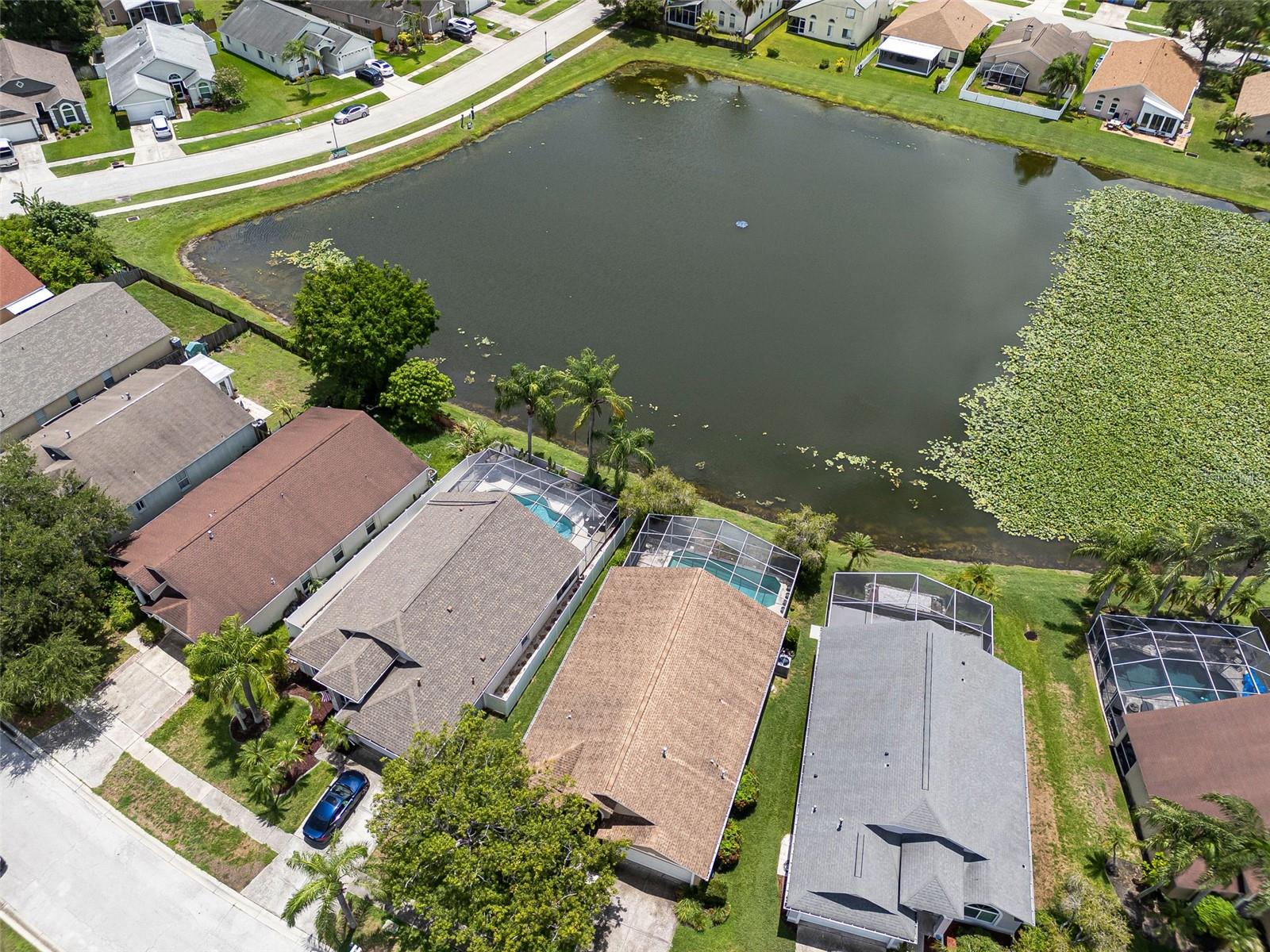 Aerial View of Backyard Lakefront
