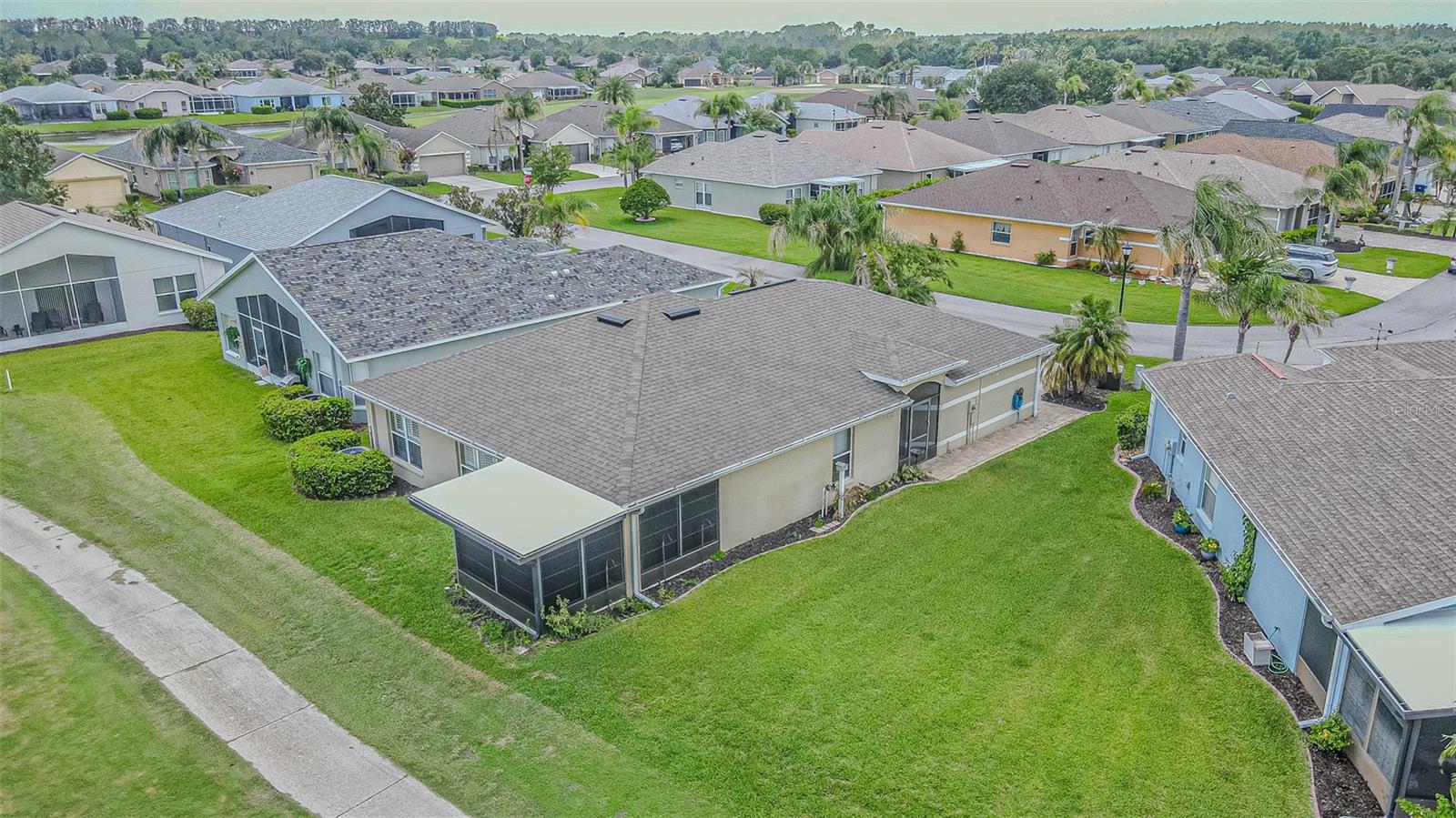Large Lush sideyard
