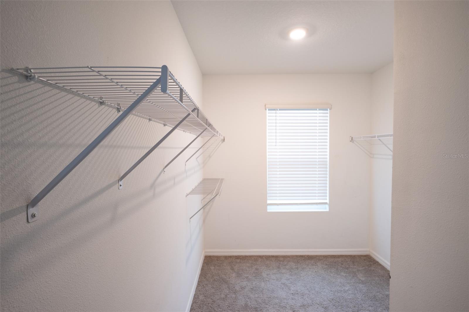 Walking Closet