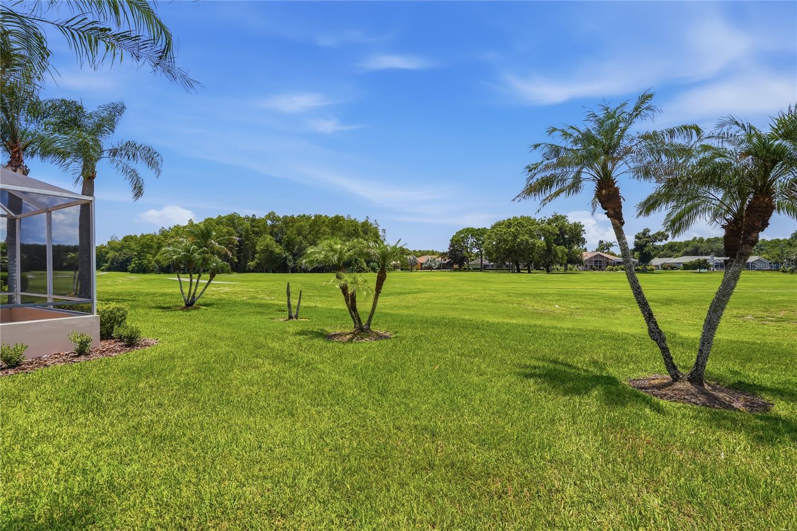 Back Yard Golf Course View