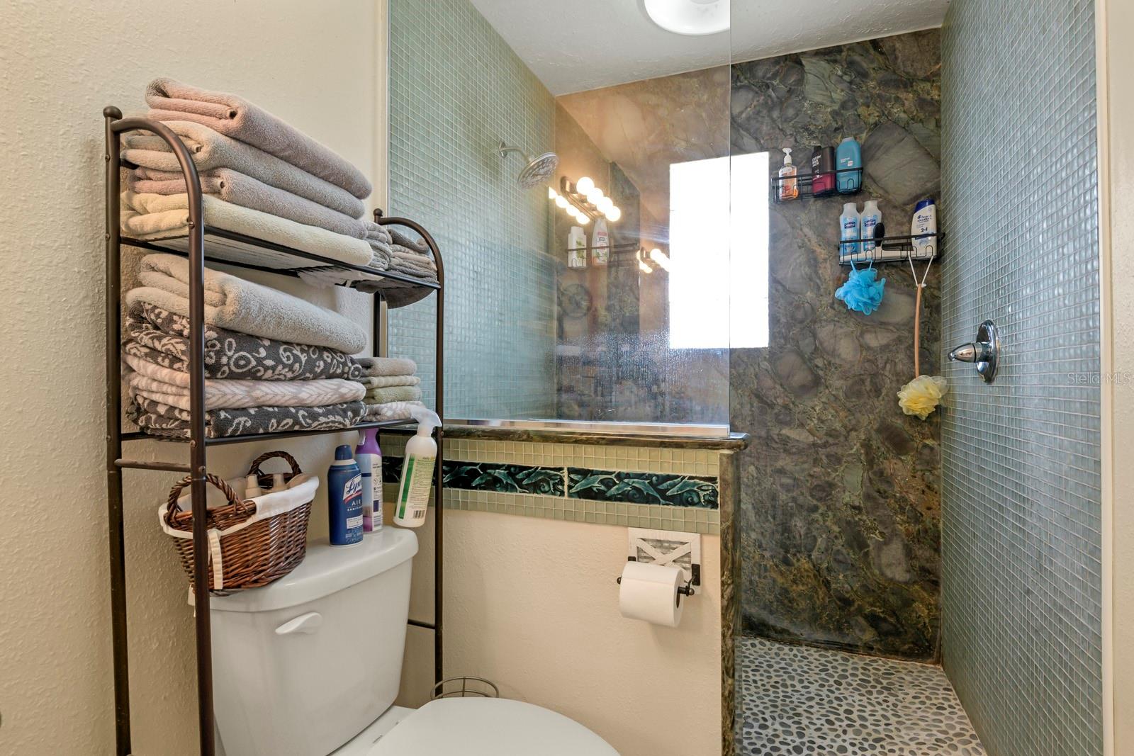 Primary Bathroom Walk-in Shower
