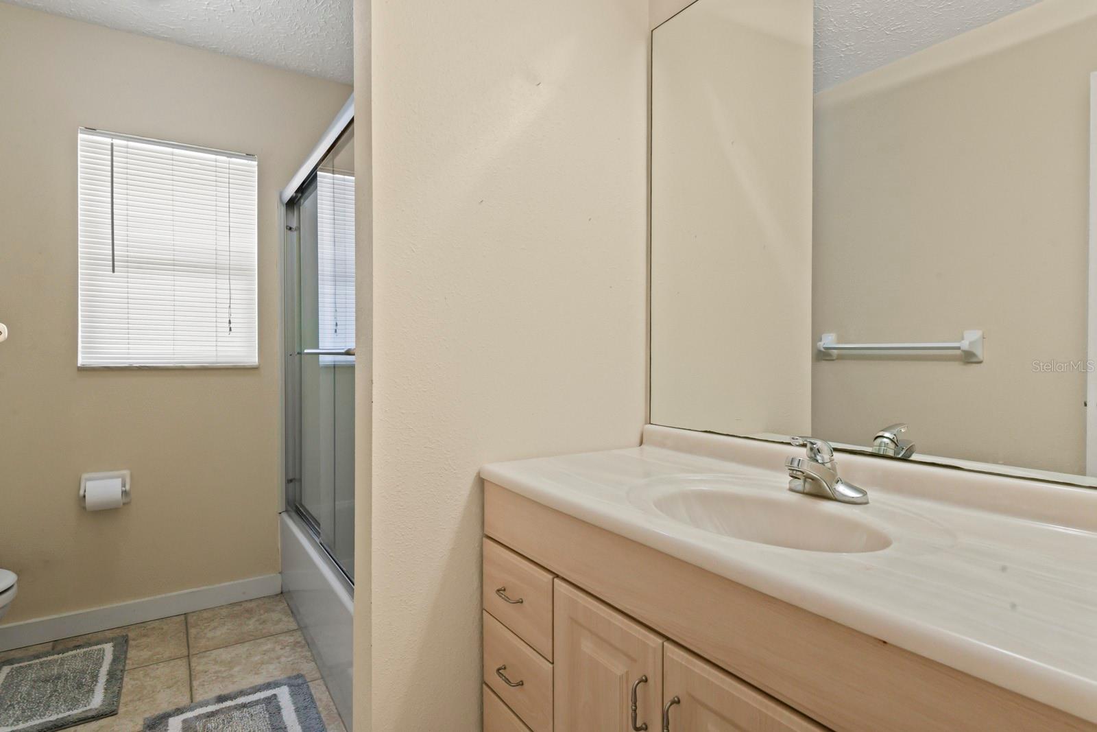 Second Bathroom View 1