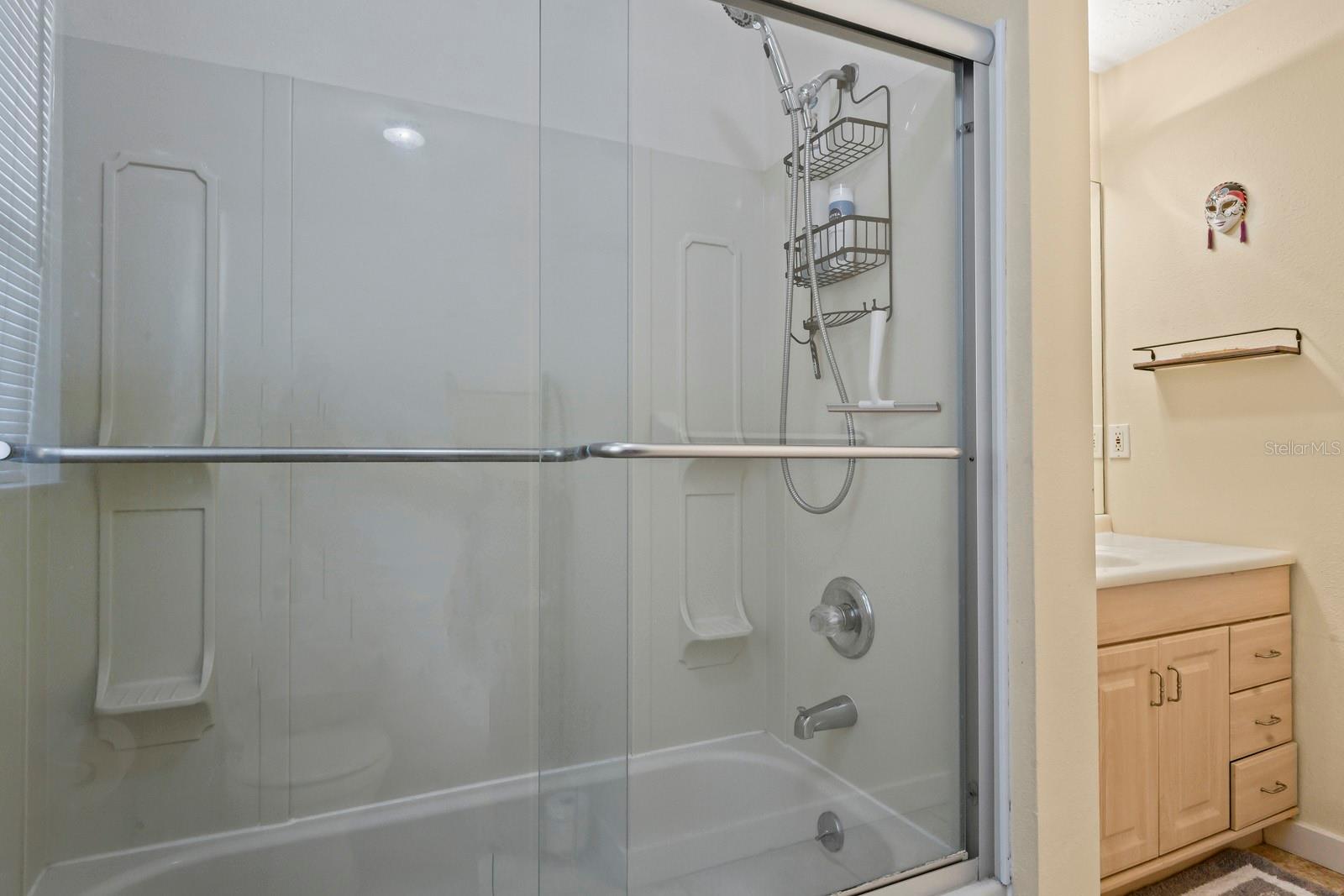 Second Bathroom View 2