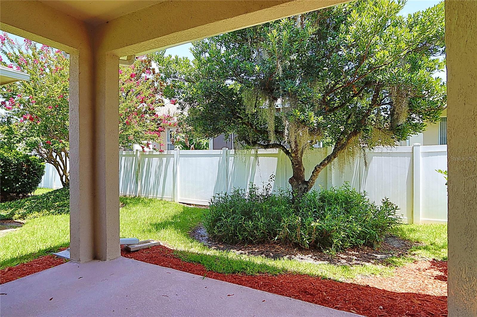 Rear Patio