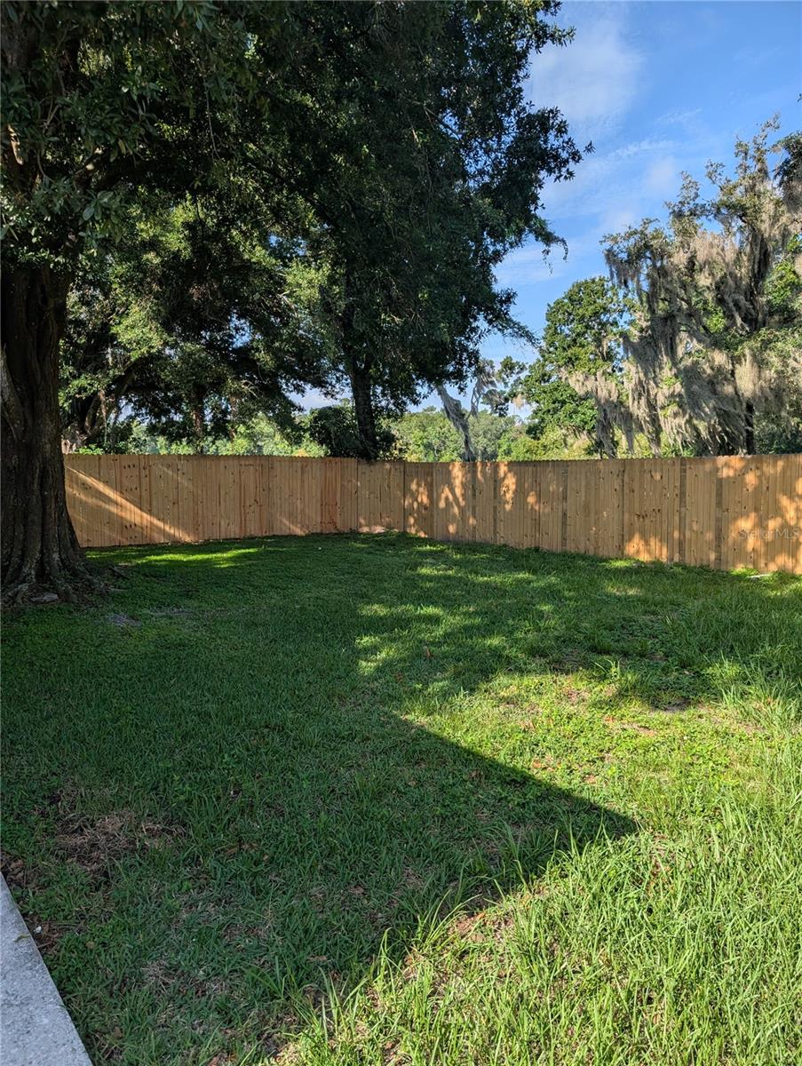 Back yard