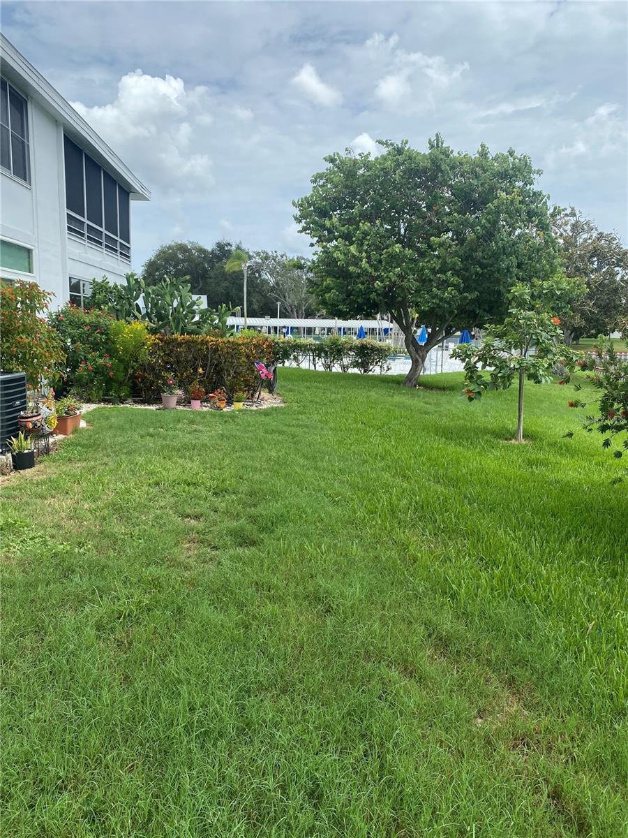 View from Patio