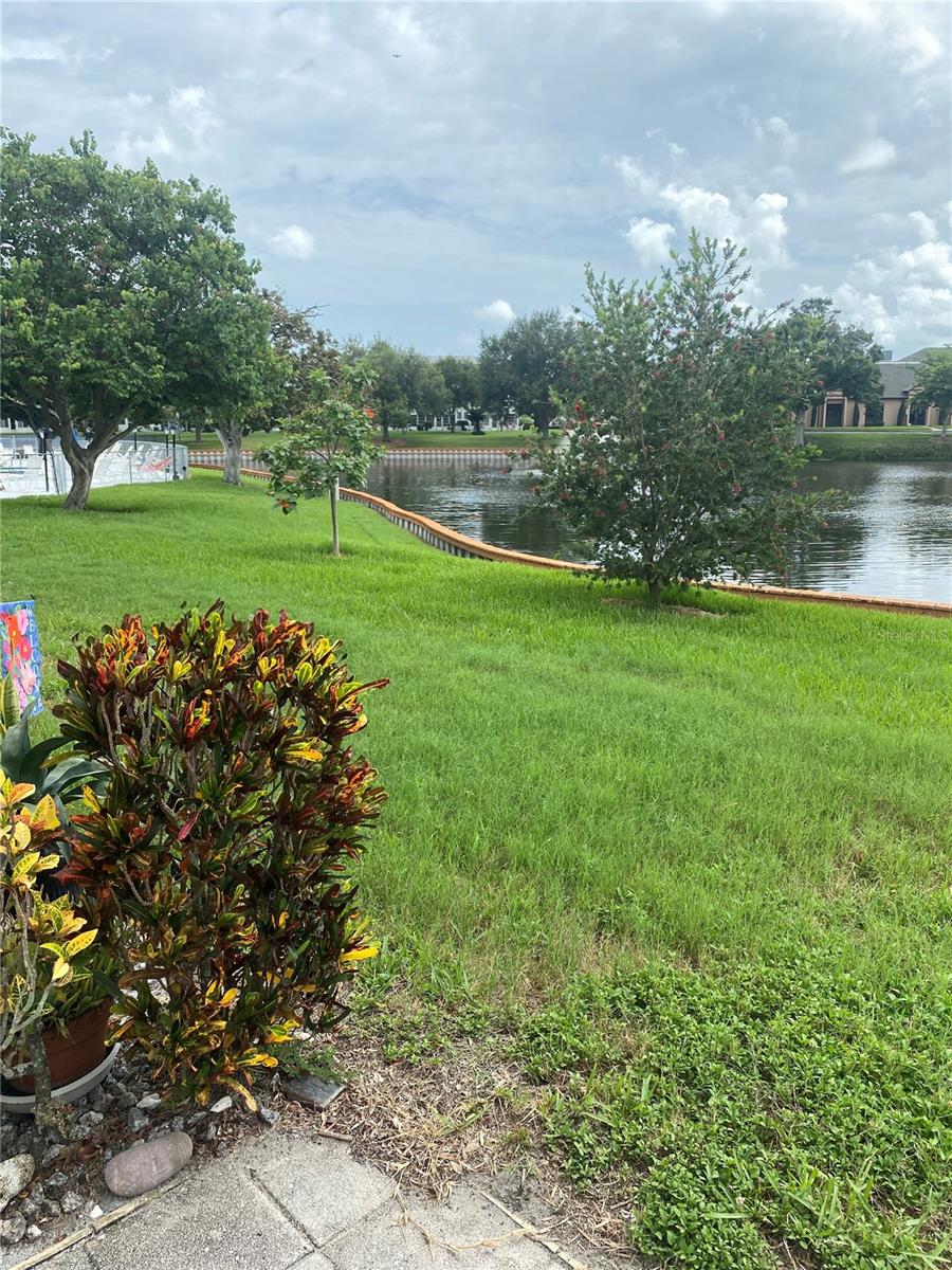 View from Patio