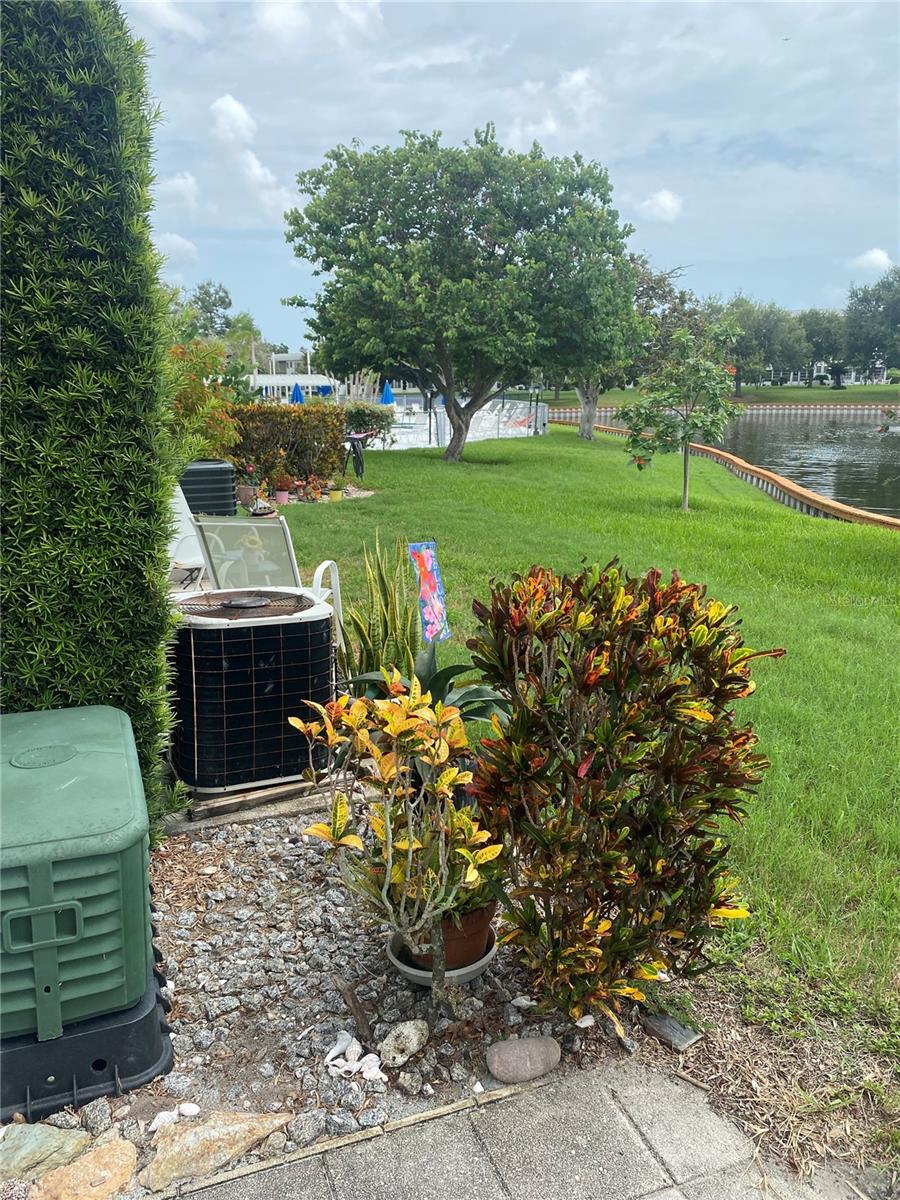View from Patio