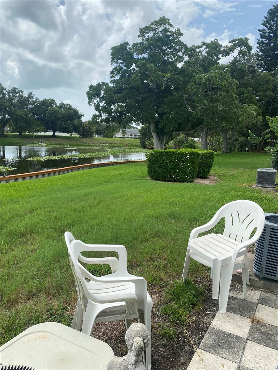 View from Patio