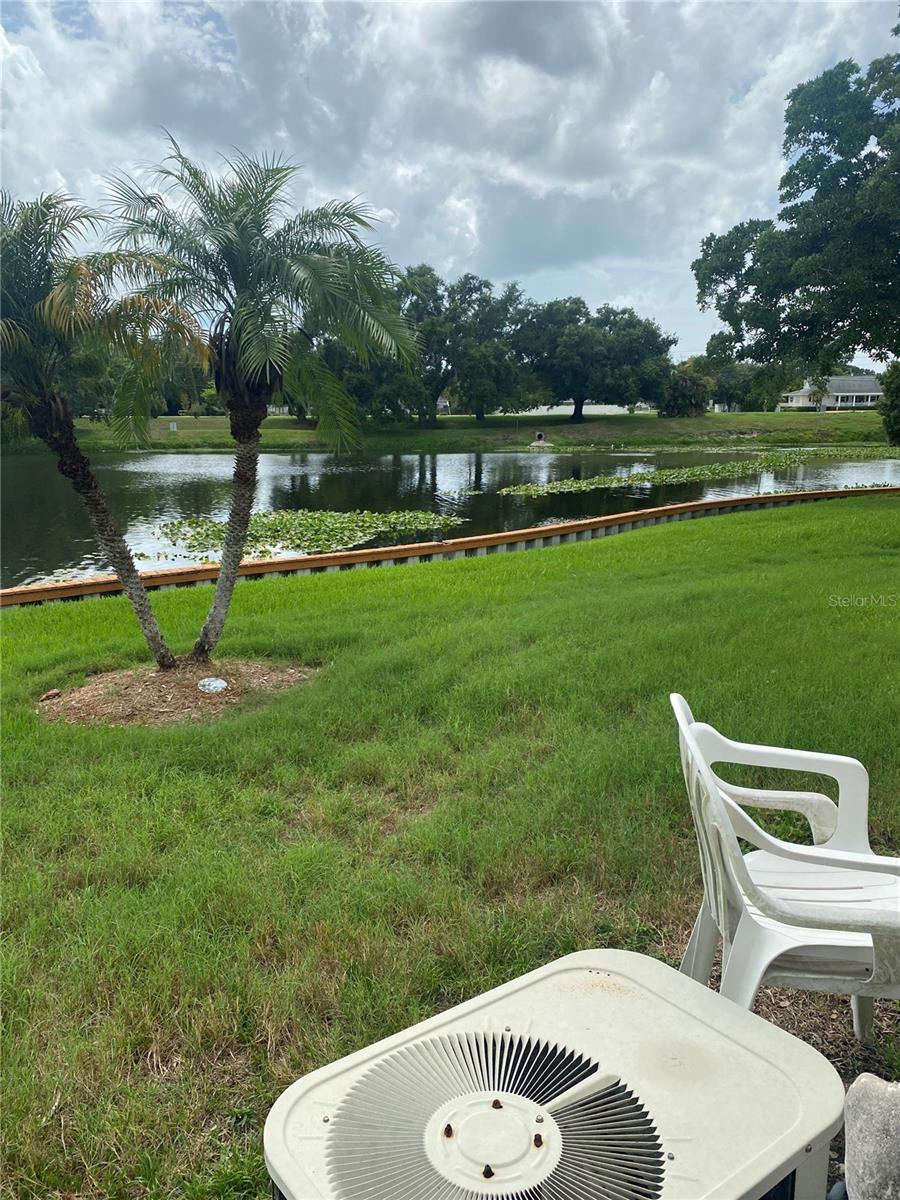 View from Patio