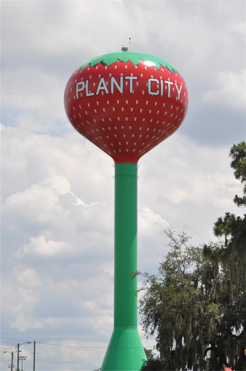 Iconic Plant City tower