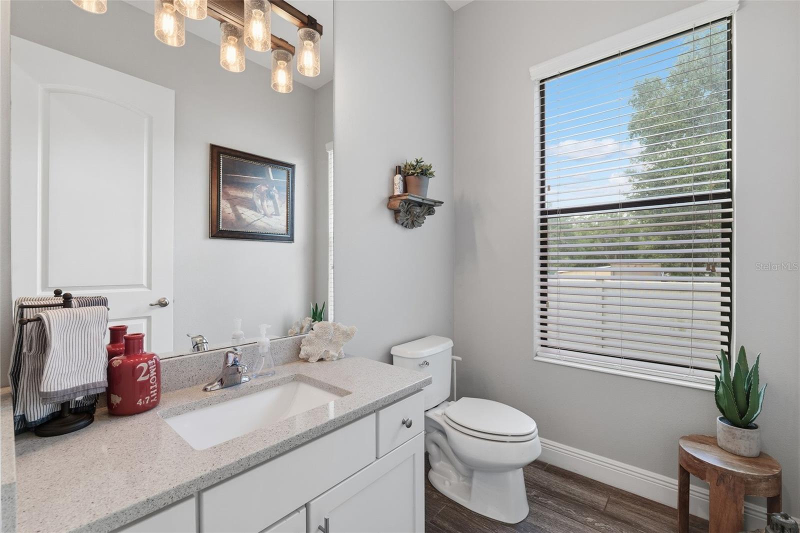 Elegant Downstairs Powder Bath