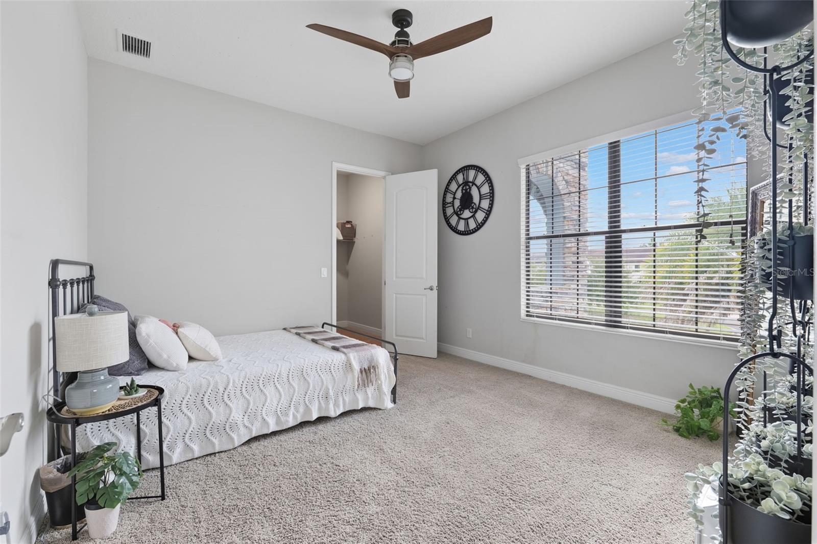 Beautiful Natural Light & Walk-In Closet