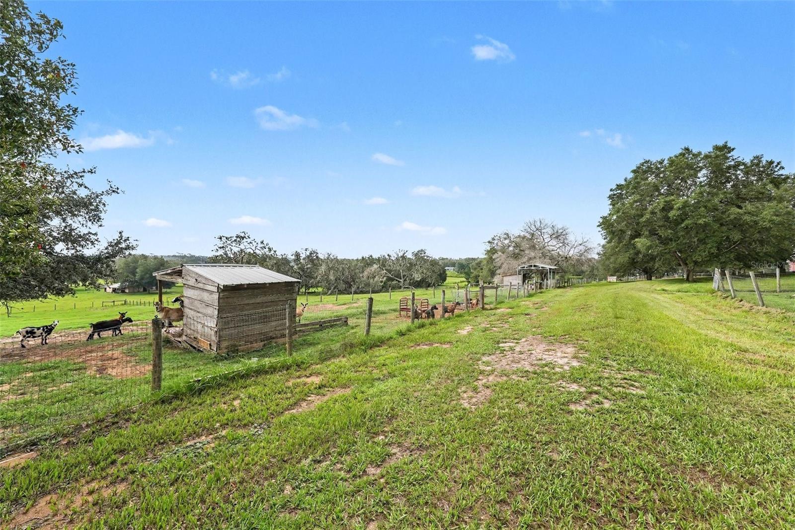 East Side of Property
