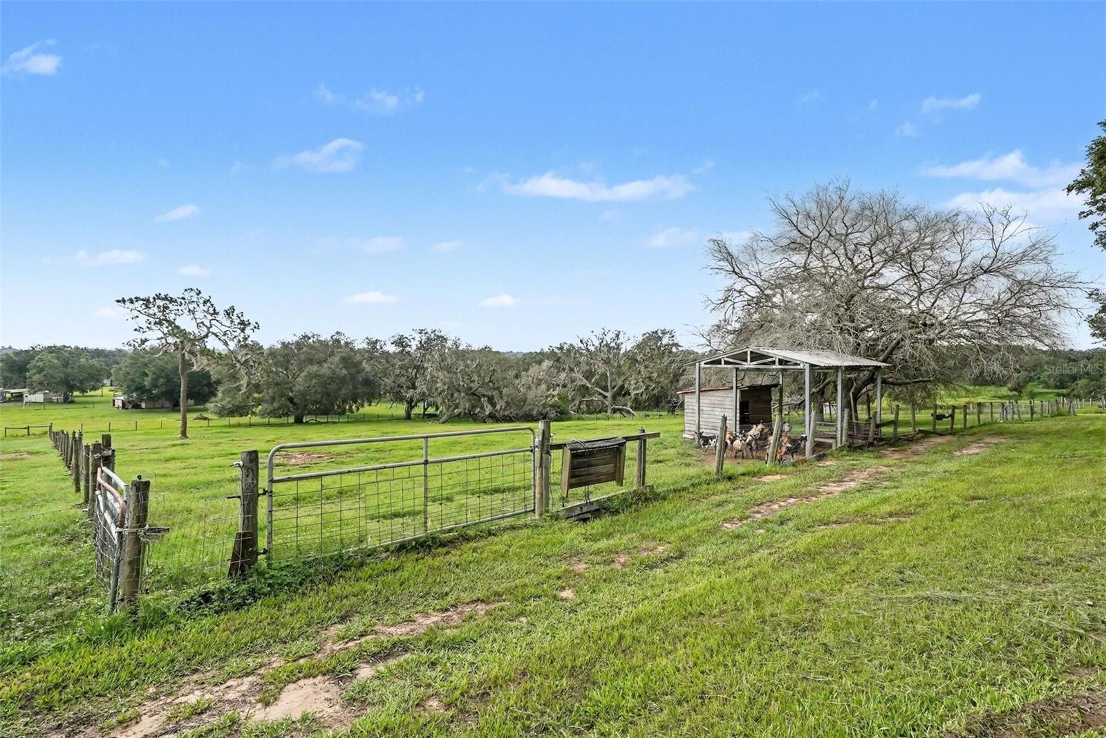 East Side of Property