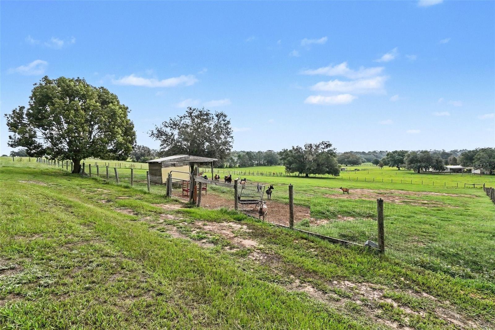 East Side of Property