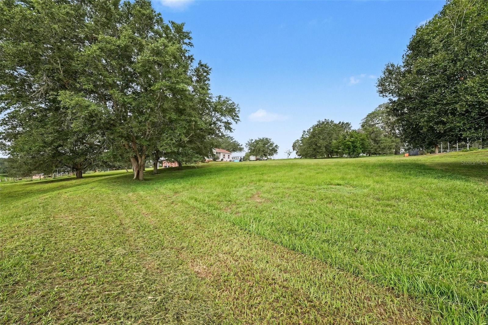 East Side of Property