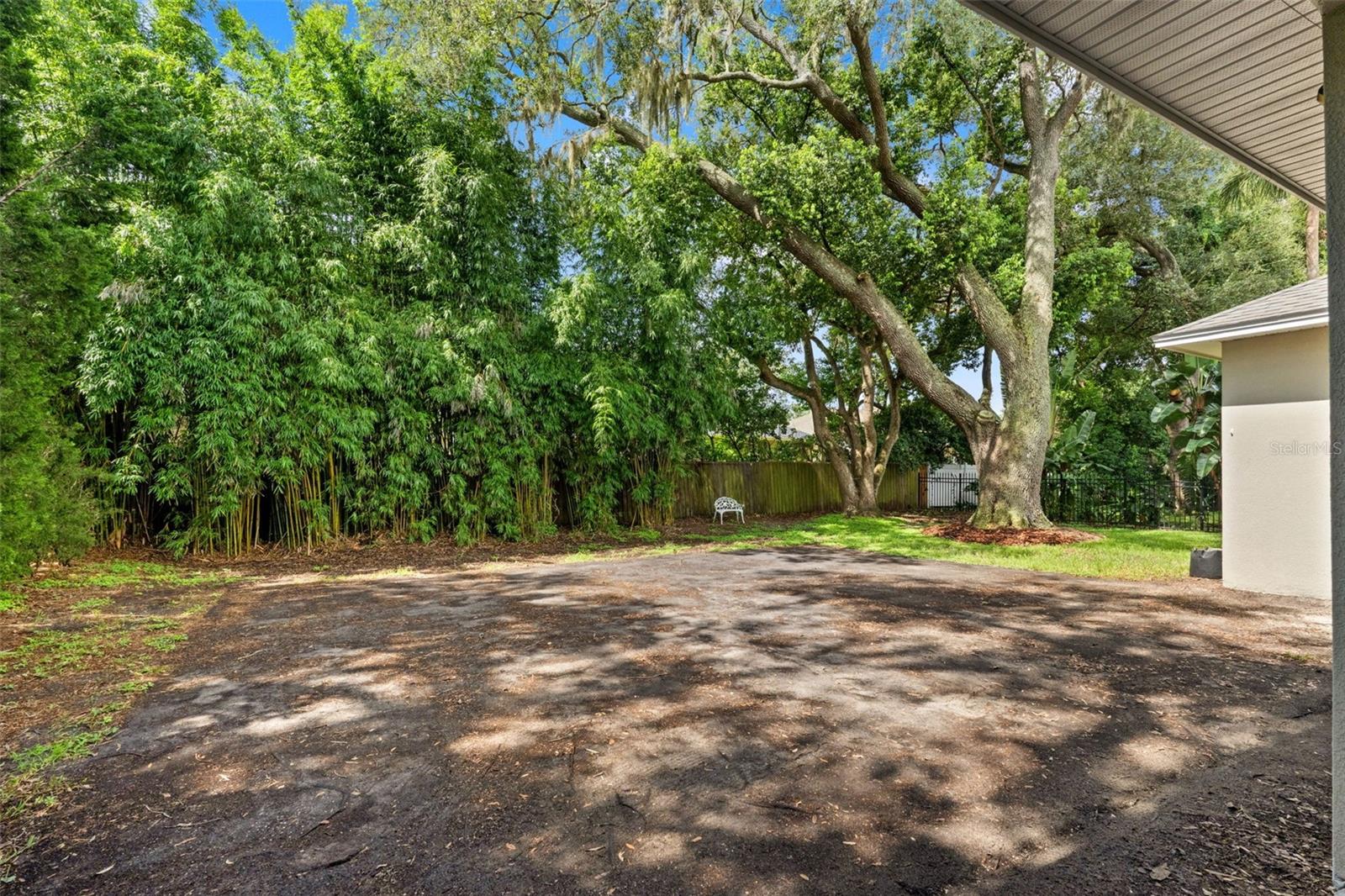 Current Rear Yard