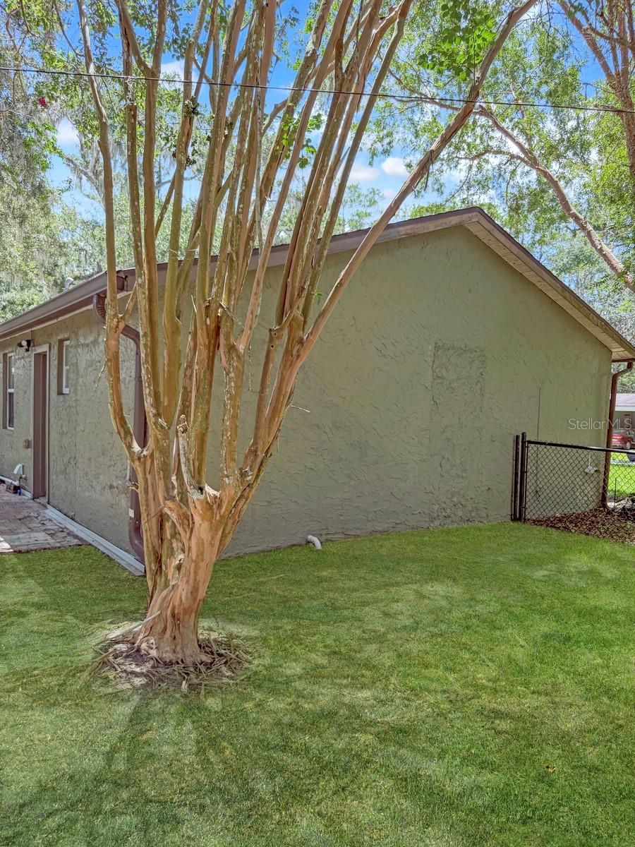Side of house