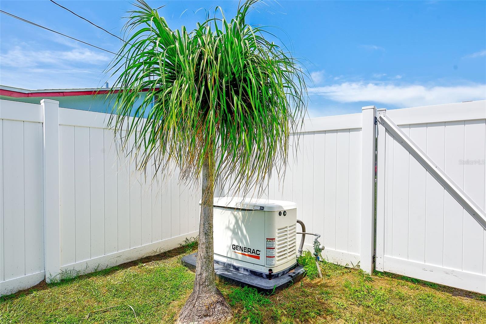 Generac whole-house generator (2017)