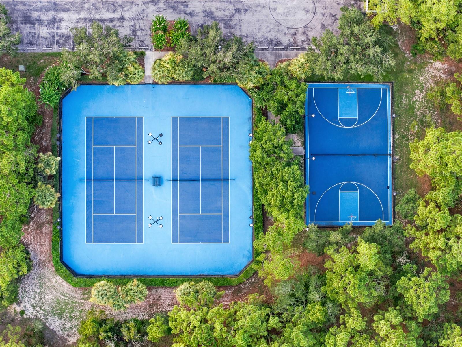 HOA Amenities - Pickleball & Basket Ball Courts