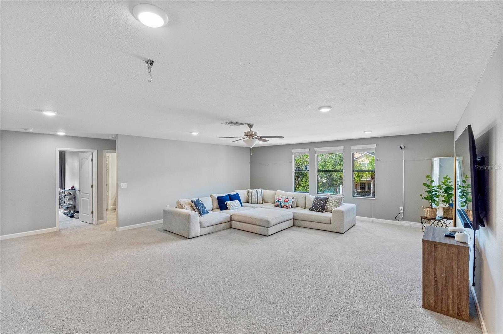 Bonus / Media room