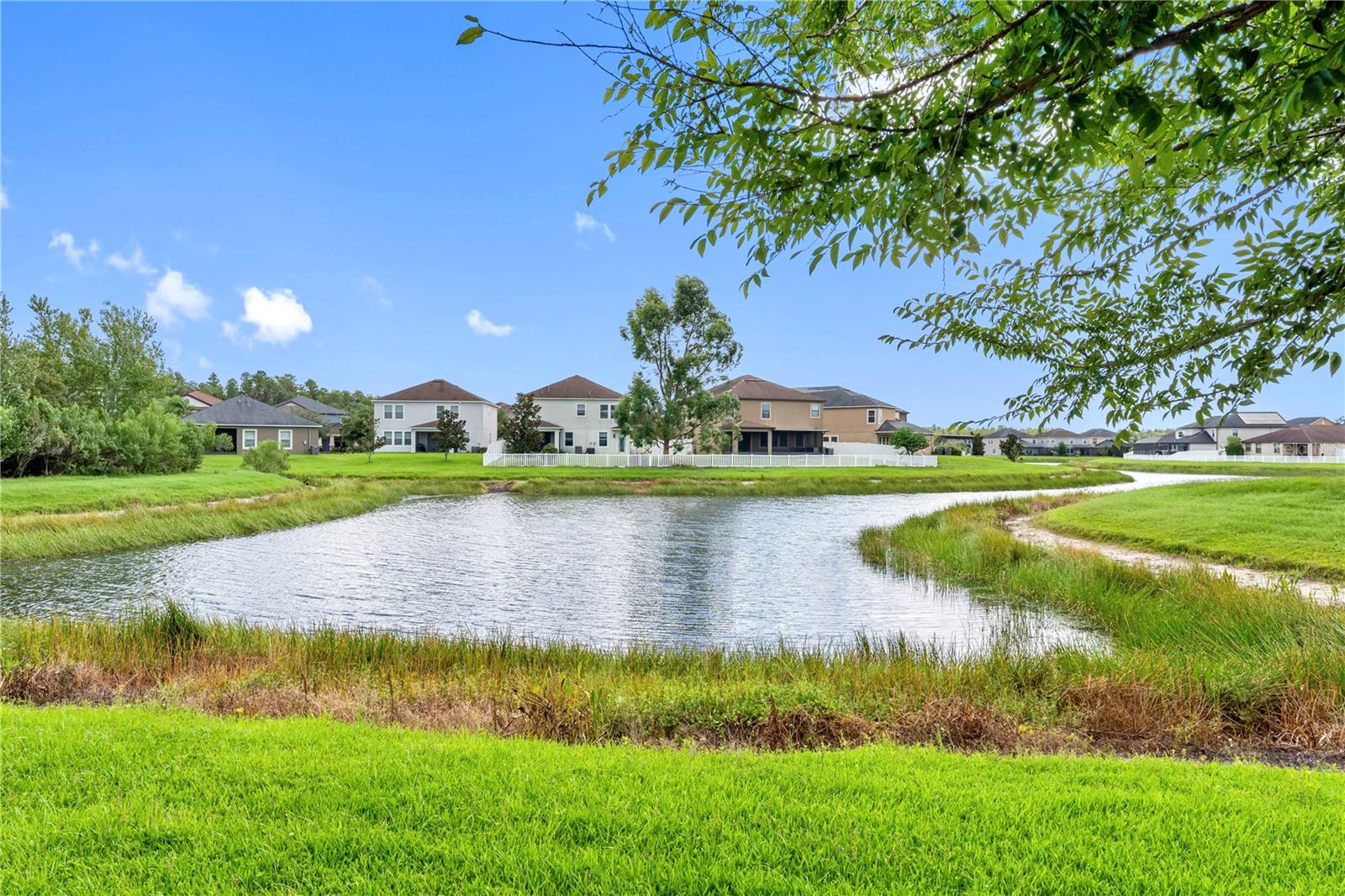 Backyard with pond view