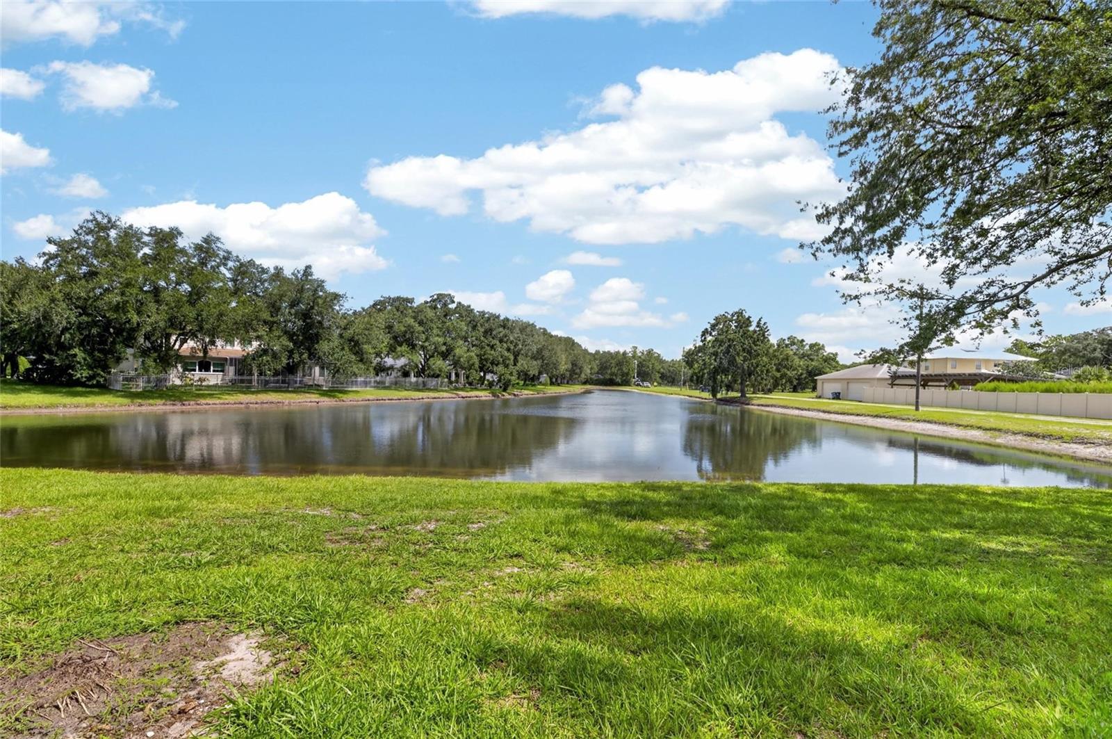Pond View