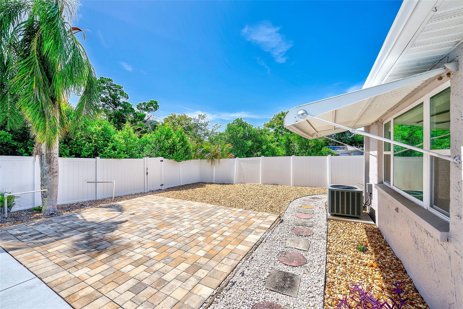View of backyard