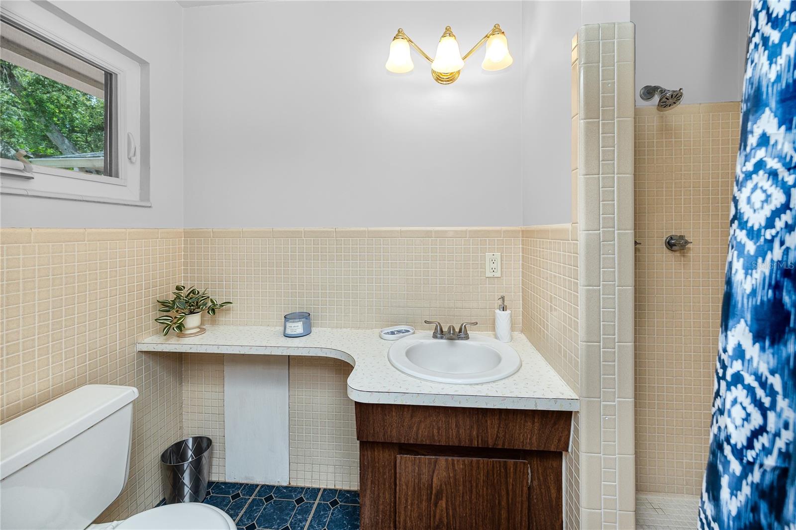 Main House Primary Bedroom En-Suite Bathroom with walk-in shower