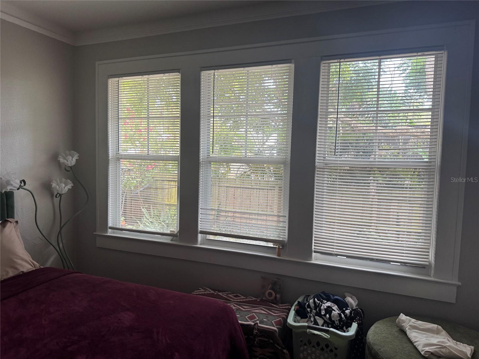 Natural light in Dining Room with original refurbished windows