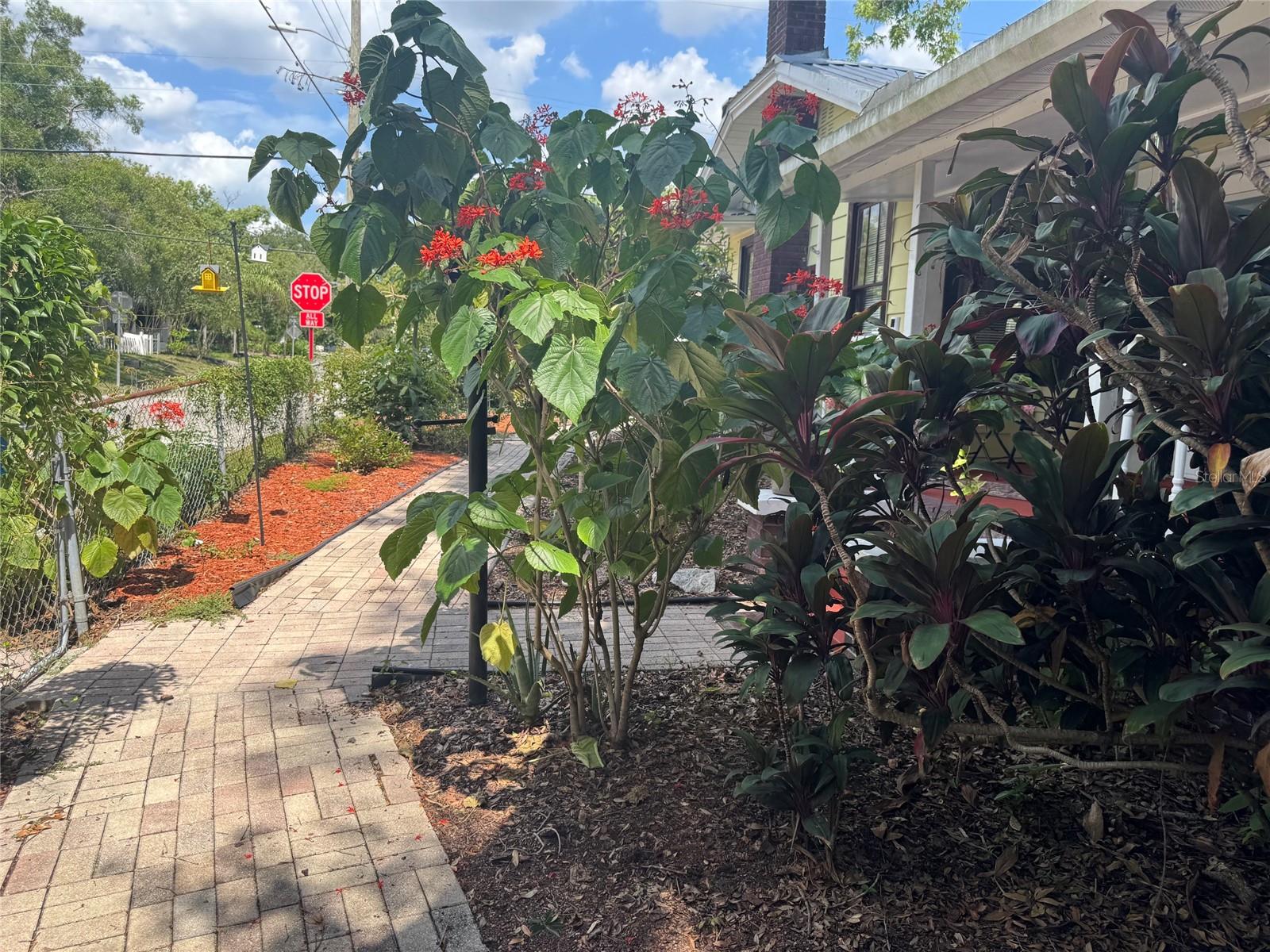 Paved walkway facing front of house