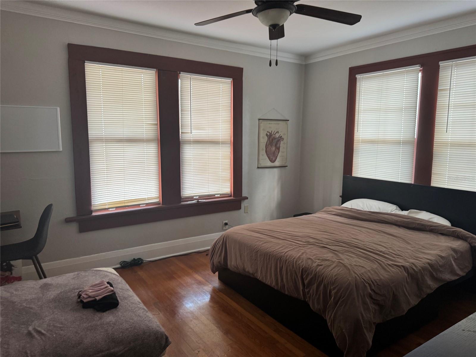 Plenty of natural sunlight in second bedroom