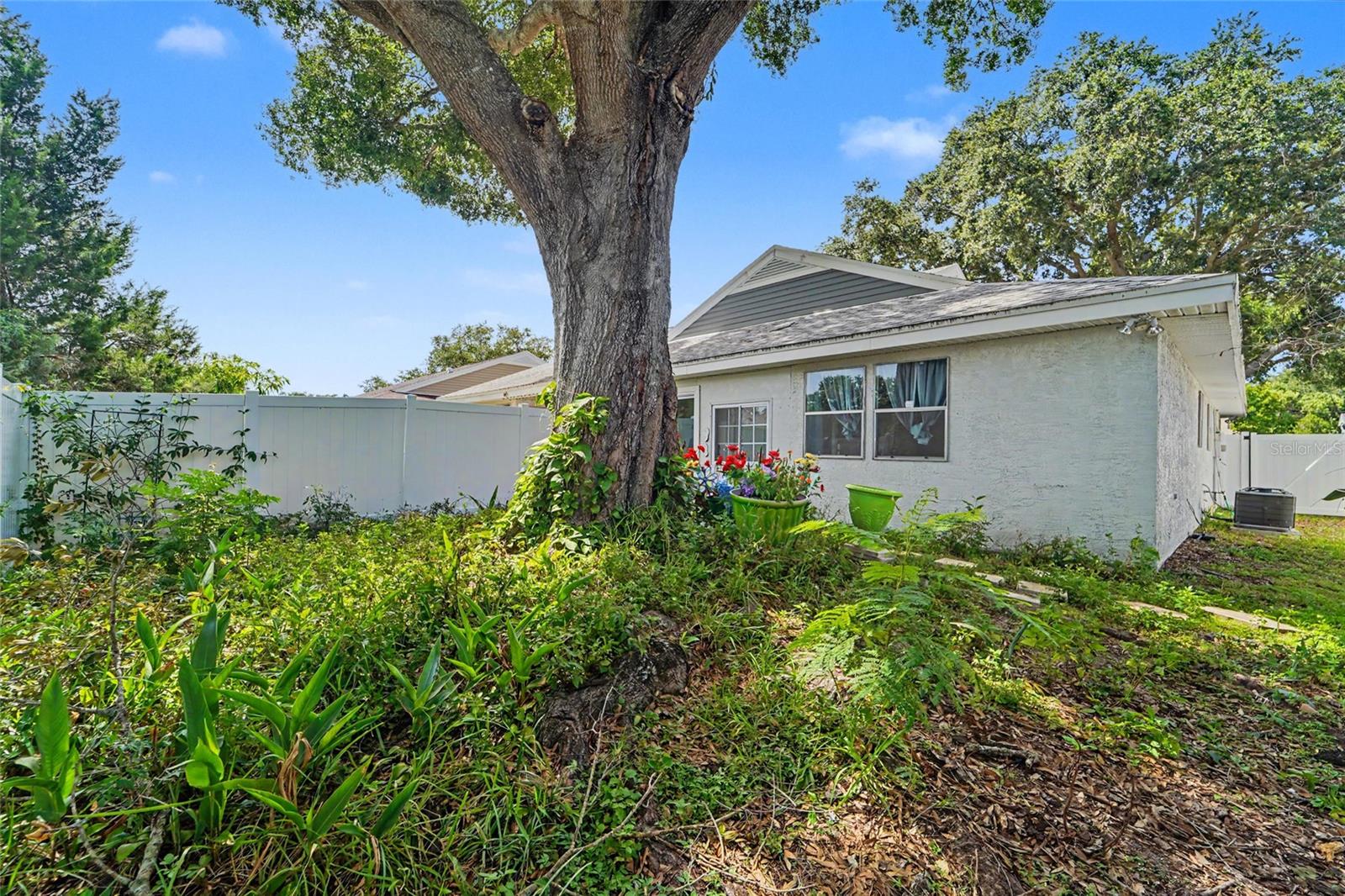 Backyard with newer vinyl fence
