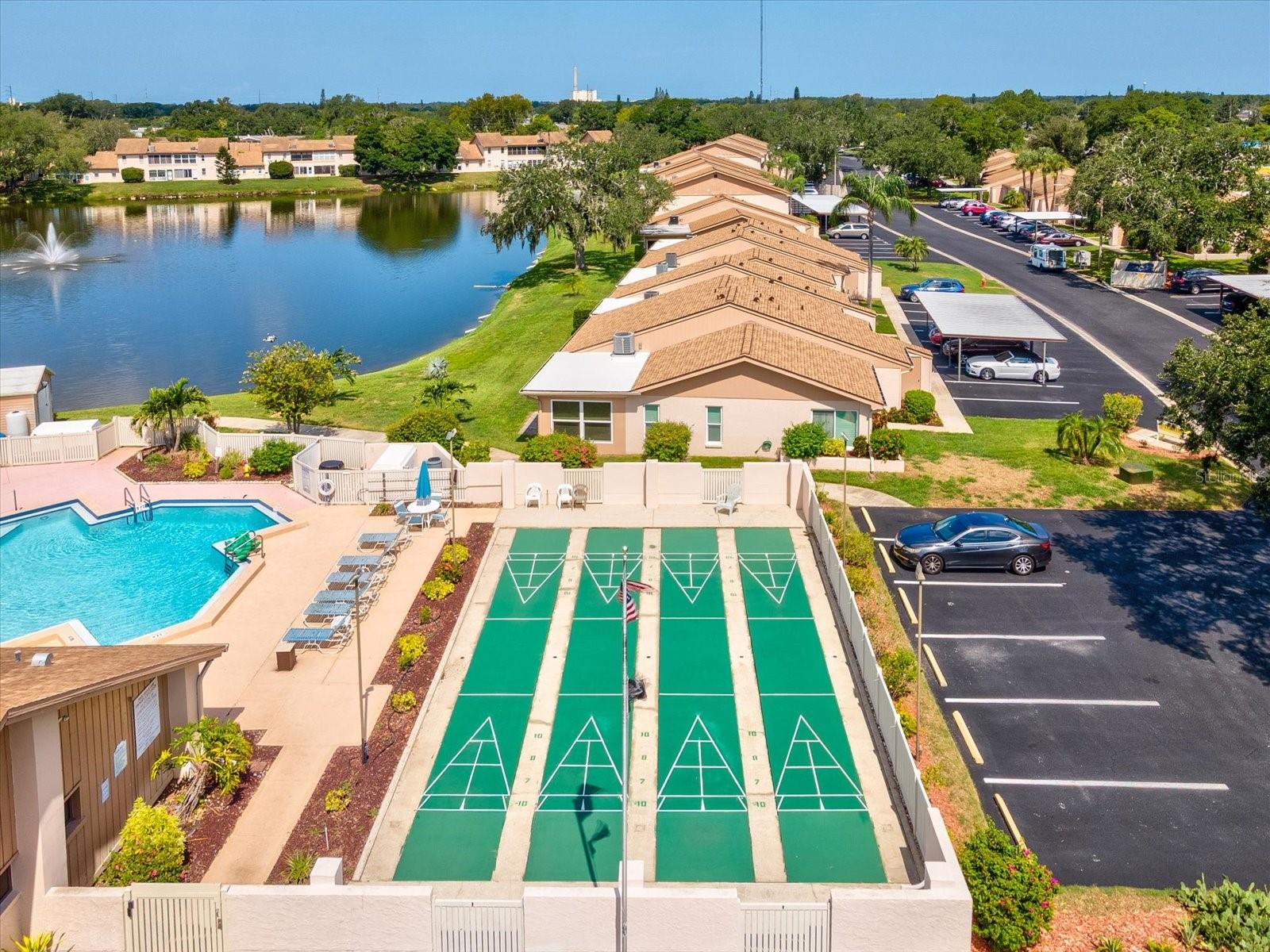 Shuffleboard Court